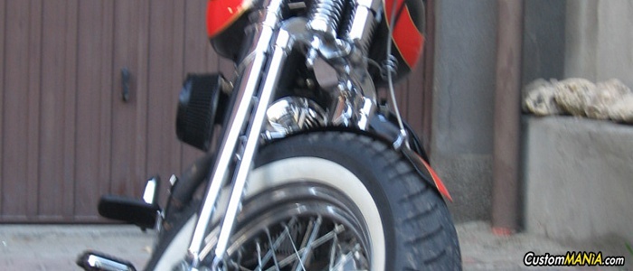 harley-davidson-softail-flsts-heritage-springer harley-davidson-softail-flsts-heritage-springer