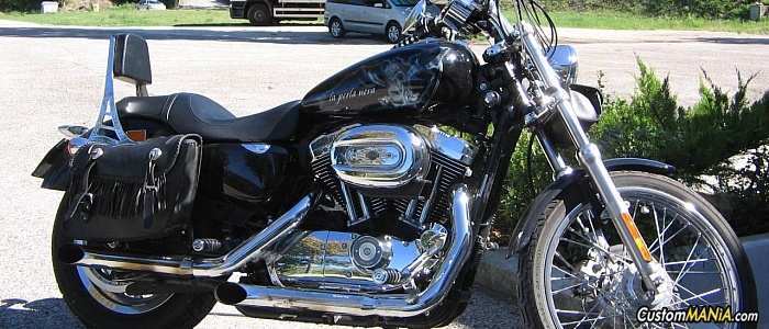 harley-davidson-sportster-xl883c-custom