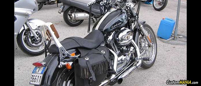 harley-davidson-sportster-xl883c-custom