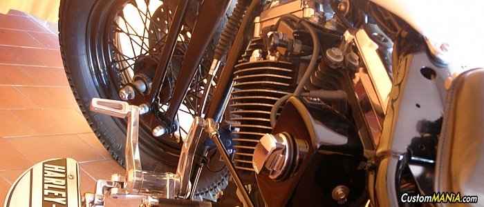 harley-davidson-softail-fxsts-springer