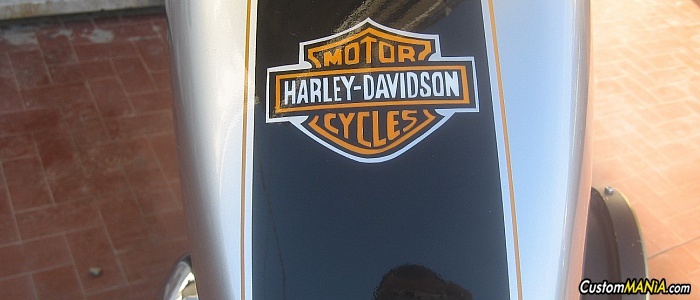 harley-davidson-sportster-xl1200s-sport