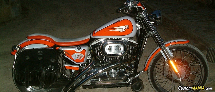 harley-davidson-sportster-xl883c-custom