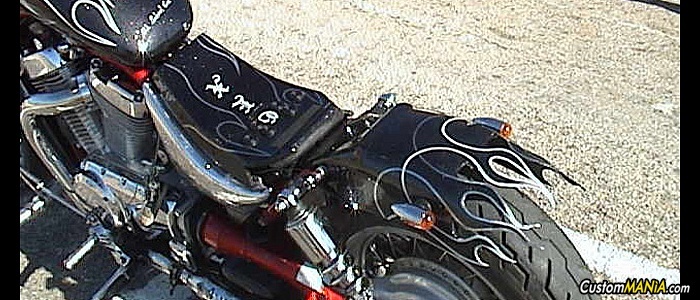 suzuki-intruder-800 suzuki-intruder-800