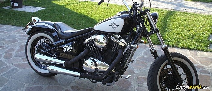 kawasaki-vn-800 kawasaki-vn-800