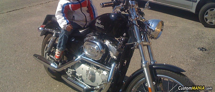 harley-davidson-sportster-xl883c-custom