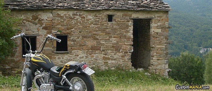 suzuki-intruder-800 suzuki-intruder-800