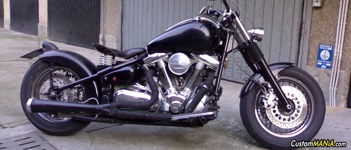 yamaha-xv-1600-wild-star