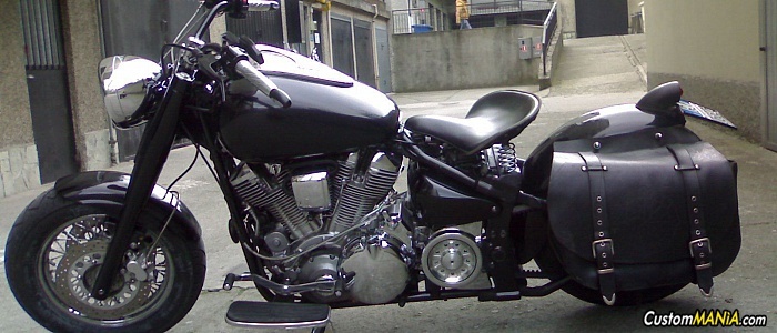 yamaha-xv-1600-wild-star