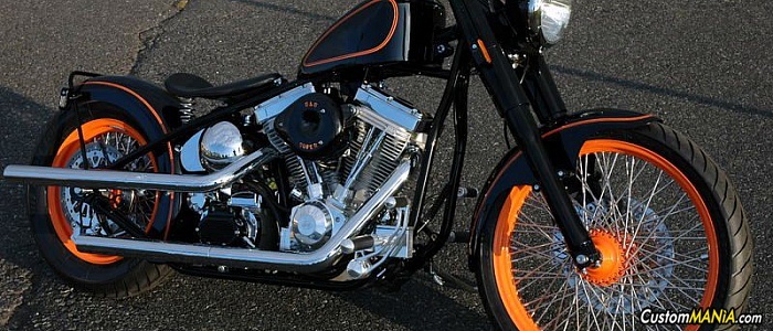 harley-davidson-sportster-xl883c-custom