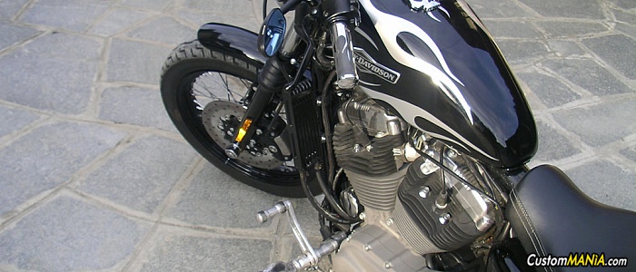 harley-davidson-sportster-xl1200s-sport harley-davidson-sportster-xl1200s-sport