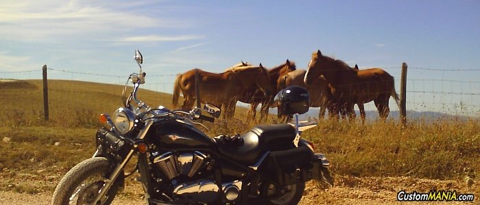 kawasaki-vn-900-classic