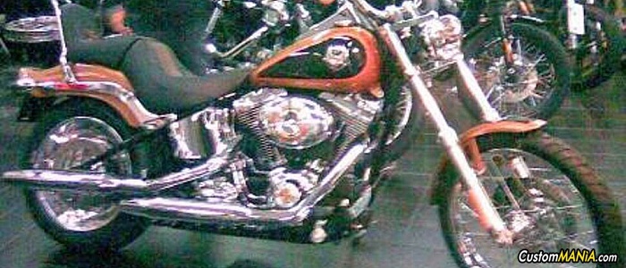 harley-davidson-softail-fxstc-custom harley-davidson-softail-fxstc-custom