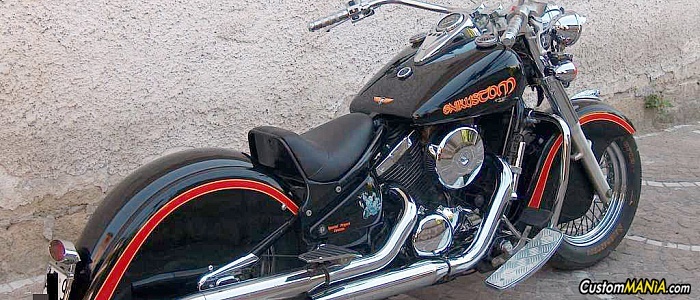 kawasaki-vn-800-classic kawasaki-vn-800-classic