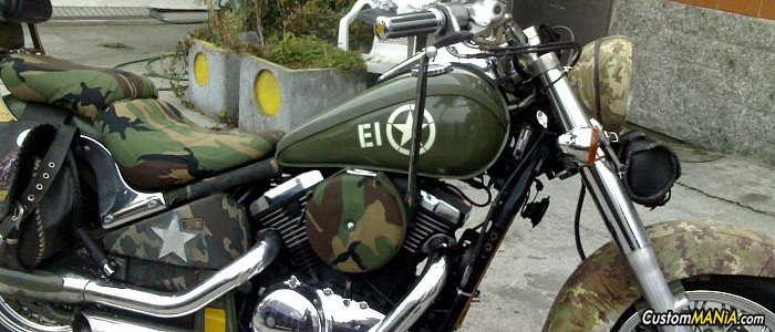 kawasaki-vn-800-classic