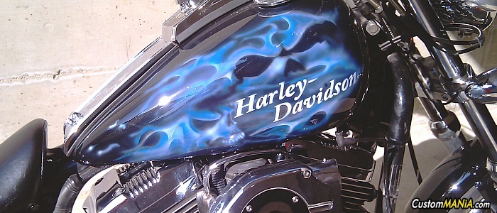 harley-davidson-sportster-xl883c-custom