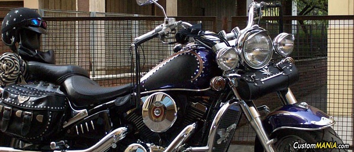 kawasaki-vn-800-classic kawasaki-vn-800-classic