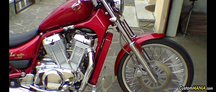 suzuki-intruder-800