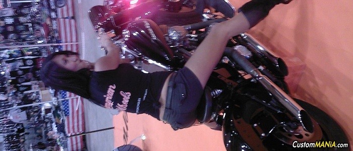 harley-davidson-softail-flstf-fat-boy harley-davidson-softail-flstf-fat-boy