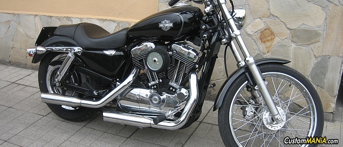 harley-davidson-sportster-xl883c-custom