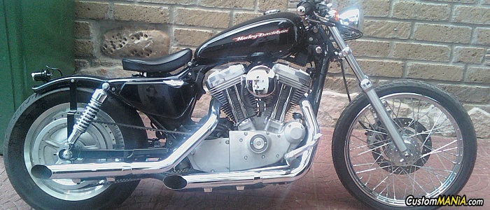 harley-davidson-sportster-xl883c-custom