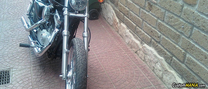 harley-davidson-sportster-xl883c-custom