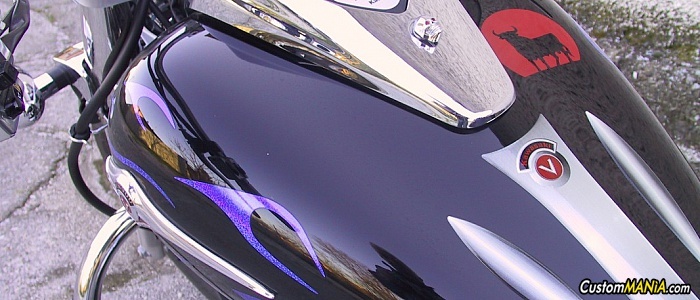 kawasaki-vn-900-custom kawasaki-vn-900-custom