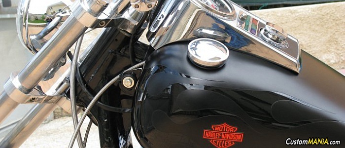 harley-davidson-sportster-xl883c-custom