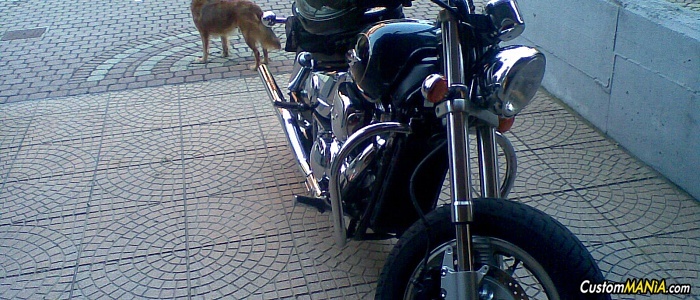 suzuki-marauder-800 suzuki-marauder-800