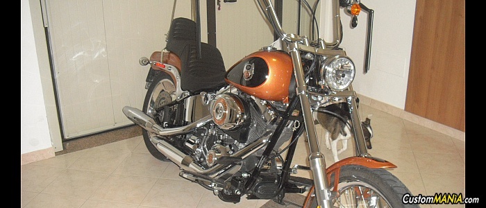 harley-davidson-softail-fxstc-custom