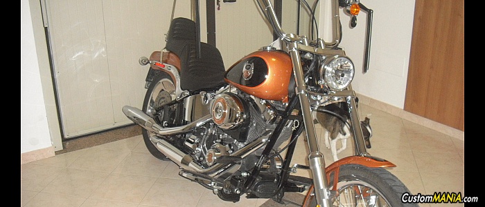 harley-davidson-softail-fxstc-custom