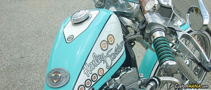 harley-davidson-sportster-xl883c-custom