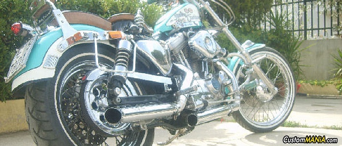 harley-davidson-sportster-xl883c-custom