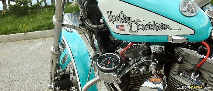 harley-davidson-sportster-xl883c-custom