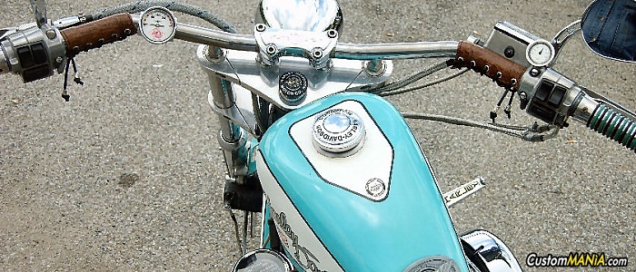 harley-davidson-sportster-xl883c-custom