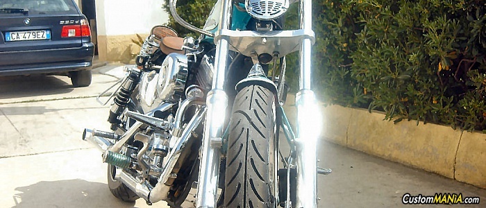 harley-davidson-sportster-xl883c-custom