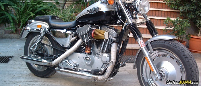 harley-davidson-sportster-xl883c-custom
