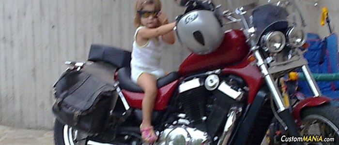 suzuki-intruder-800 suzuki-intruder-800