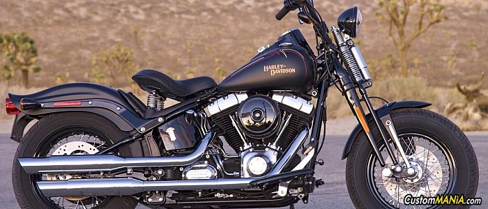 harley-davidson-softail-flstsb-cross-bones