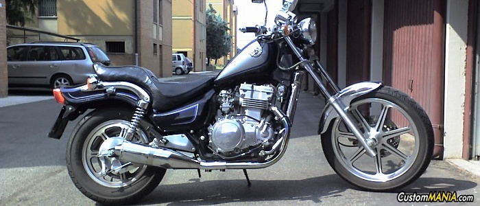 kawasaki-en-500-ltd kawasaki-en-500-ltd