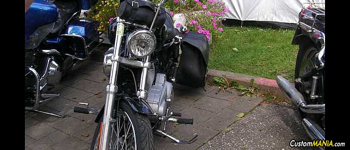 harley-davidson-sportster-xl883c-custom