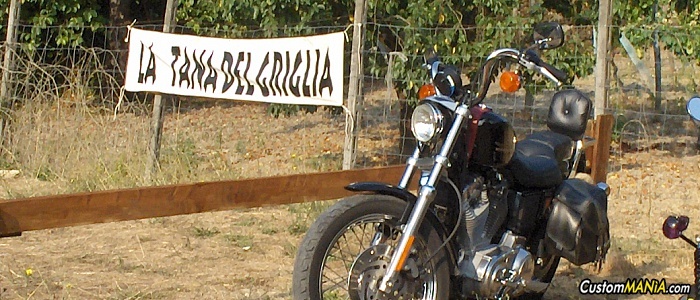 harley-davidson-sportster-xl883-hugger