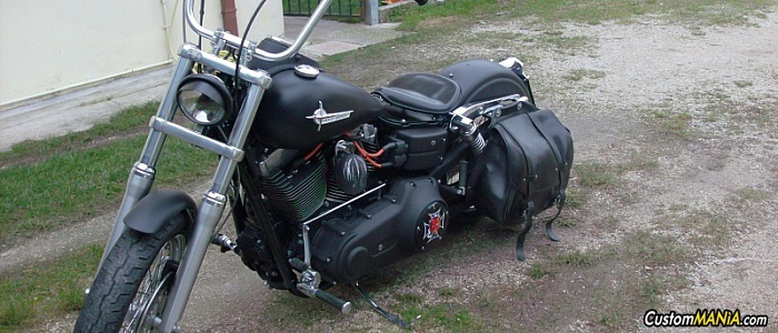 harley-davidson-sportster-xl883c-custom