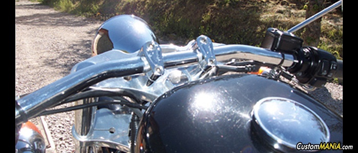 harley-davidson-sportster-xl883c-custom