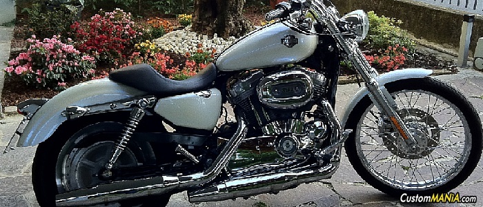harley-davidson-sportster-xl883c-custom