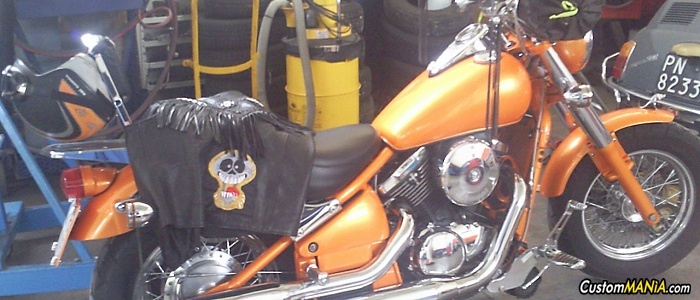 kawasaki-vn-800-classic kawasaki-vn-800-classic