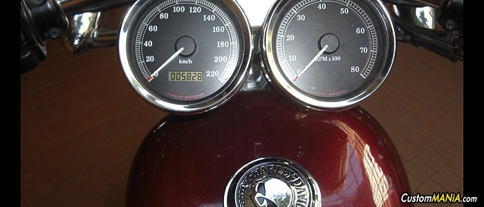 harley-davidson-sportster-xl883c-custom