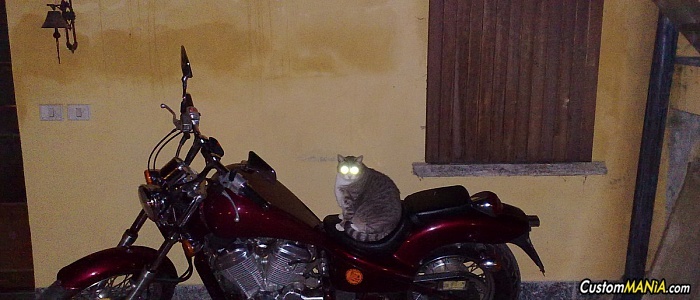 honda-vt-600-shadow