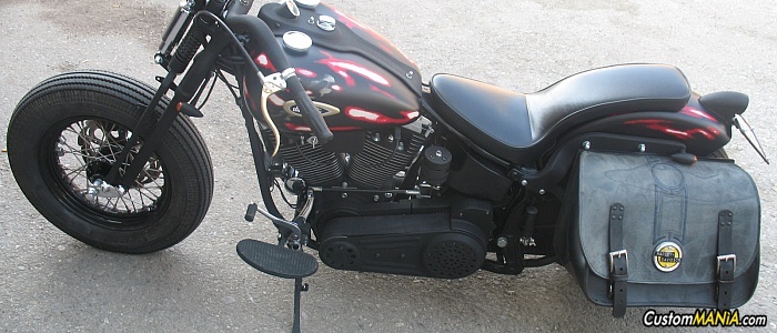 harley-davidson-softail-fxstc-custom