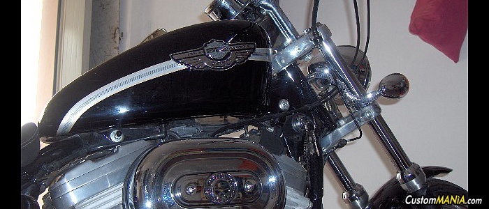 harley-davidson-sportster-xl883c-custom