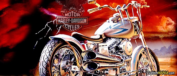 harley-davidson-sportster-xl883c-custom